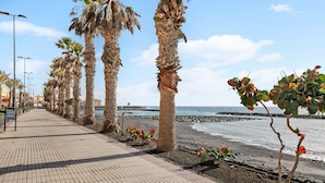 Eine Strandpromenade mit Palmen, einem gefliesten Gehweg und Blick auf das Meer.