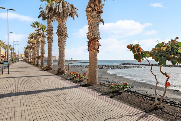 A seaside promenade with palm trees, a tiled walkway, and a view of the ocean.