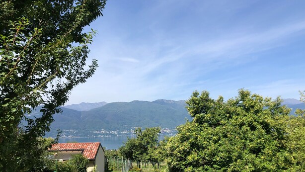 Paesaggio rurale con una casa, un albero e montagne sullo sfondo.