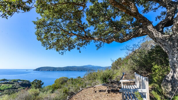 Un banc placé face à un paysage côtier, offrant une vue dégagée sur la mer et les collines lointaines.