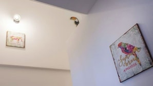 A wall with two framed artworks and a light fixture. - Le Morgan - Magnificent city center apartment with parking space (Salon-de-Provence)
