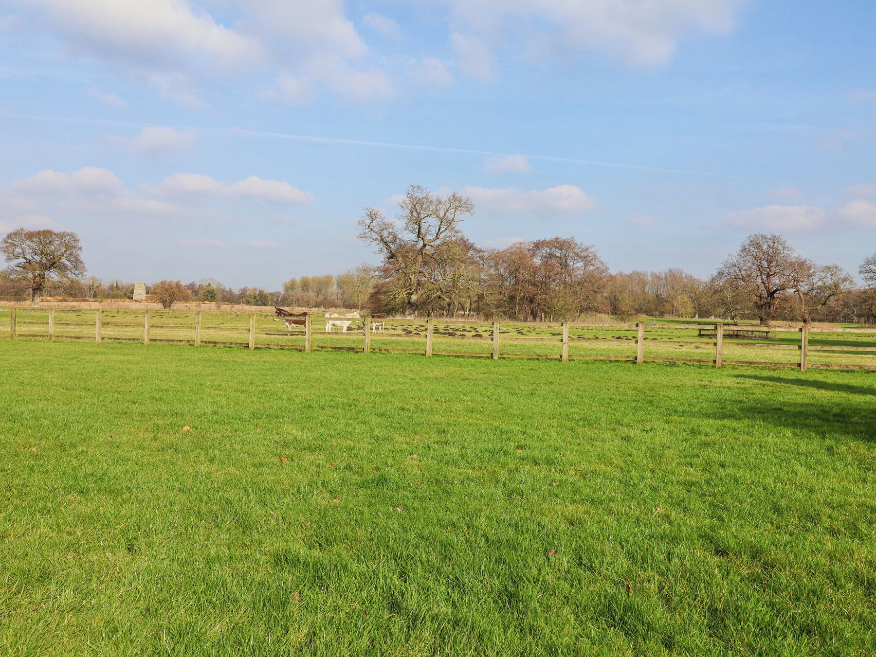 A grassy field with a wooden fence, trees, and a clear sky.