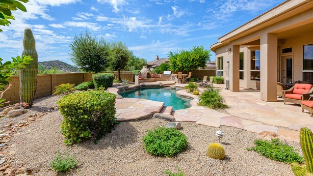 Un jardin à l’arrière de la maison, avec une piscine, entouré de différentes plantes et de cactus.