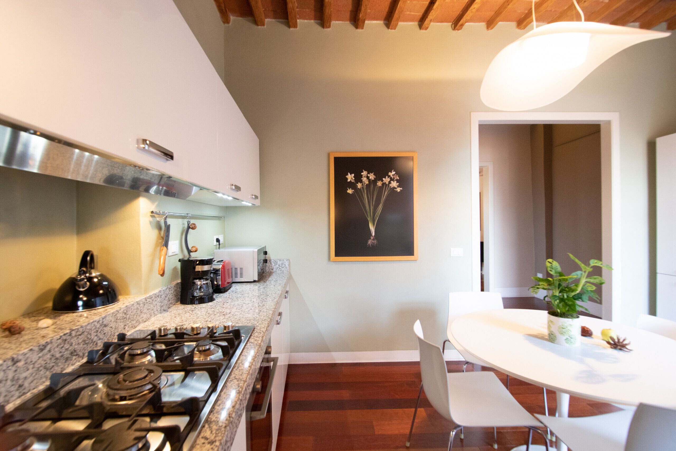 A modern kitchen with a gas stove, a kettle, and a coffee maker. There is a dining table with chairs and a potted plant.
