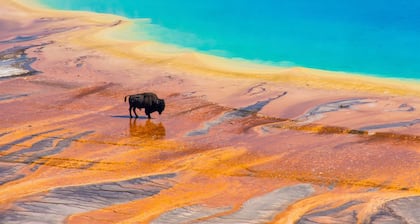 Lone Peak Vista-Big Sky Shoshone Ski In/Ski Out condo-Steps to Explorer Gondola