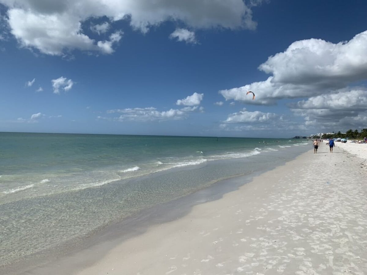 Photo 24 of Olde Naples Luxury Home 10 Houses from the Beach