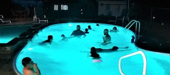 Lynnhurst Resort - Kentucky Lake Water View Cabin 4 (Dog Friendly!)