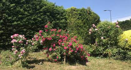 Disneyland Paris - 4 bedrooms - two bathrooms - large garden parking lot