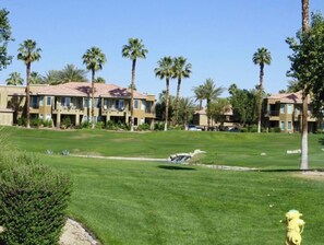 Stunning residential area with manicured lawns and palm trees, featuring two-story buildings and a serene water feature.