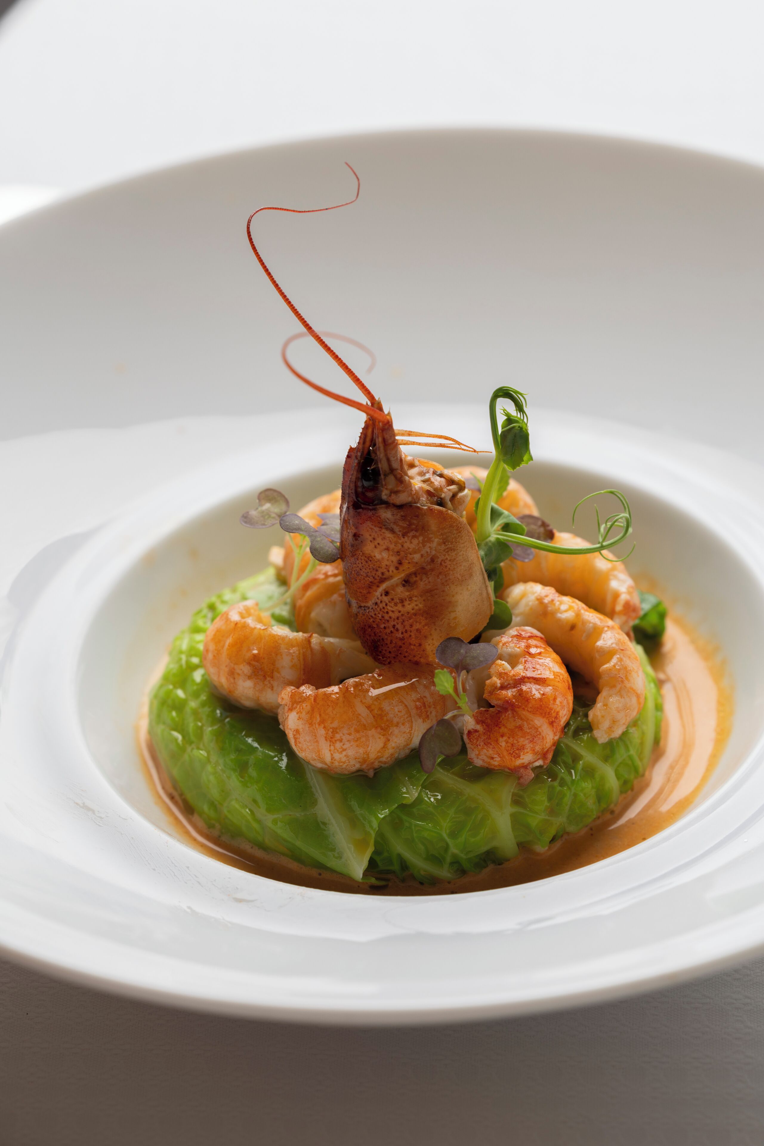 Un plato blanco con un plato de mariscos, incluyendo camarones y una cola de langosta, sobre una cama de lechuga verde.