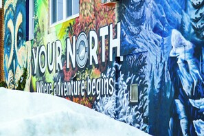 Unclassified image, 5 of 24, button