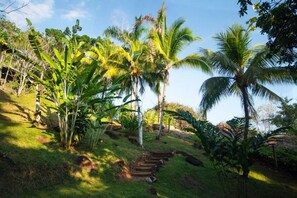 Property grounds - Spacious 3 bedroom villa with the best ocean views! (Puntarenas Province)
