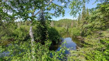 A serene forested area with a calm river, dense greenery, and a clear sky.