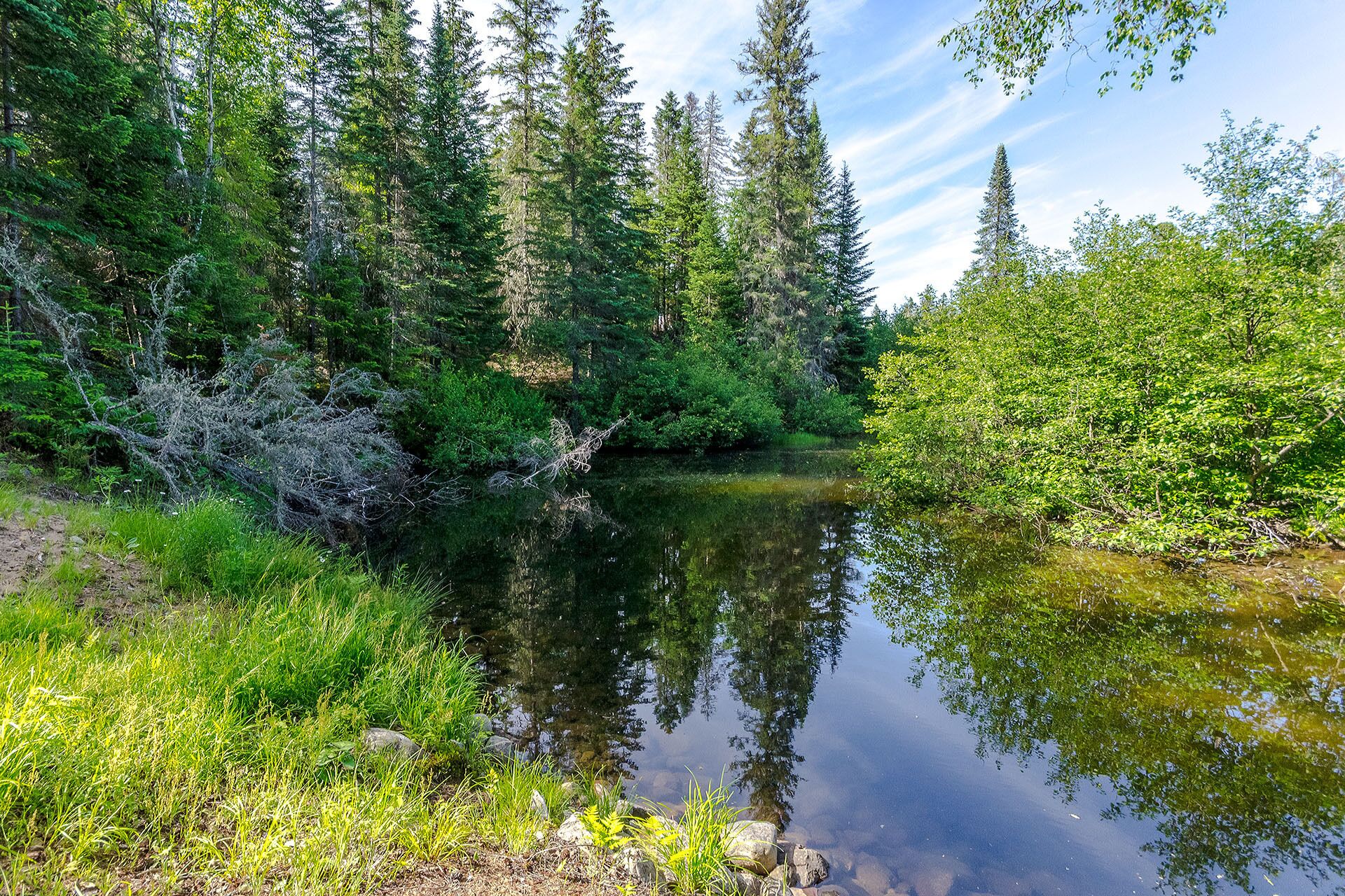 A serene forested area with a calm river reflecting the surrounding trees.