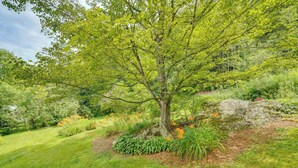 A tree in a landscaped garden with a well-maintained lawn and various shrubs. - Londonderry Retreat ~ 3 Mi to Lowell Lake! (Londonderry)