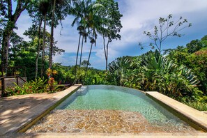 Pool - Ocean View, Infinity Pool & Lush Gardens! (Uvita)