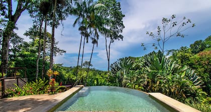 Ocean View, Infinity Pool & Lush Gardens!