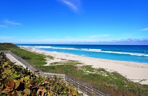 A beach with a wooden boardwalk leading to the shore, surrounded by greenery. - Luxury Home - Jacuzzi! Mini-Golf! Ping-Pong! Pets! 2 Desks! Yoga! Beach Gear! (North Palm Beach)