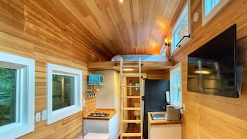 Smart TV, fireplace, video library