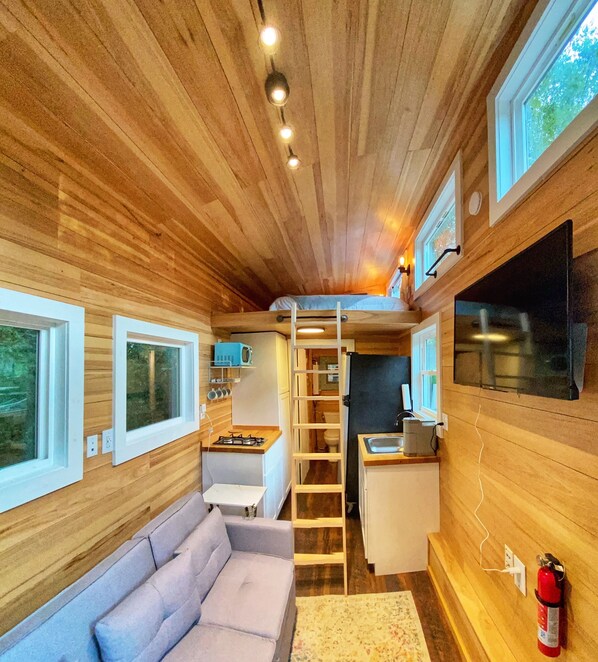 Smart TV, fireplace, video library