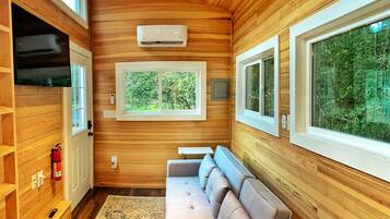 Smart TV, fireplace, video library