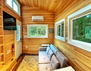 Smart TV, fireplace, video library