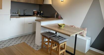 Newly renovated apartment - Panoramic Mont Blanc view