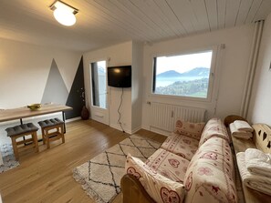 Fernseher, Bücher