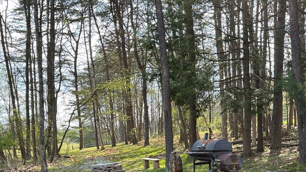 A forested area with a barbecue grill, wooden benches, and a picnic table.