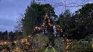 A pathway flanked by trees and illuminated by string lights, leading to a central archway. - Orion 4-person Stunning Lotus Belle Tent (Ross-on-Wye)