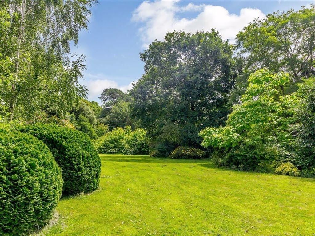 Cabin | Property grounds