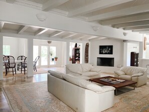 TV, fireplace, books, music library