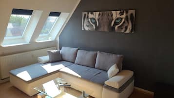 Fernseher, Stereoanlage