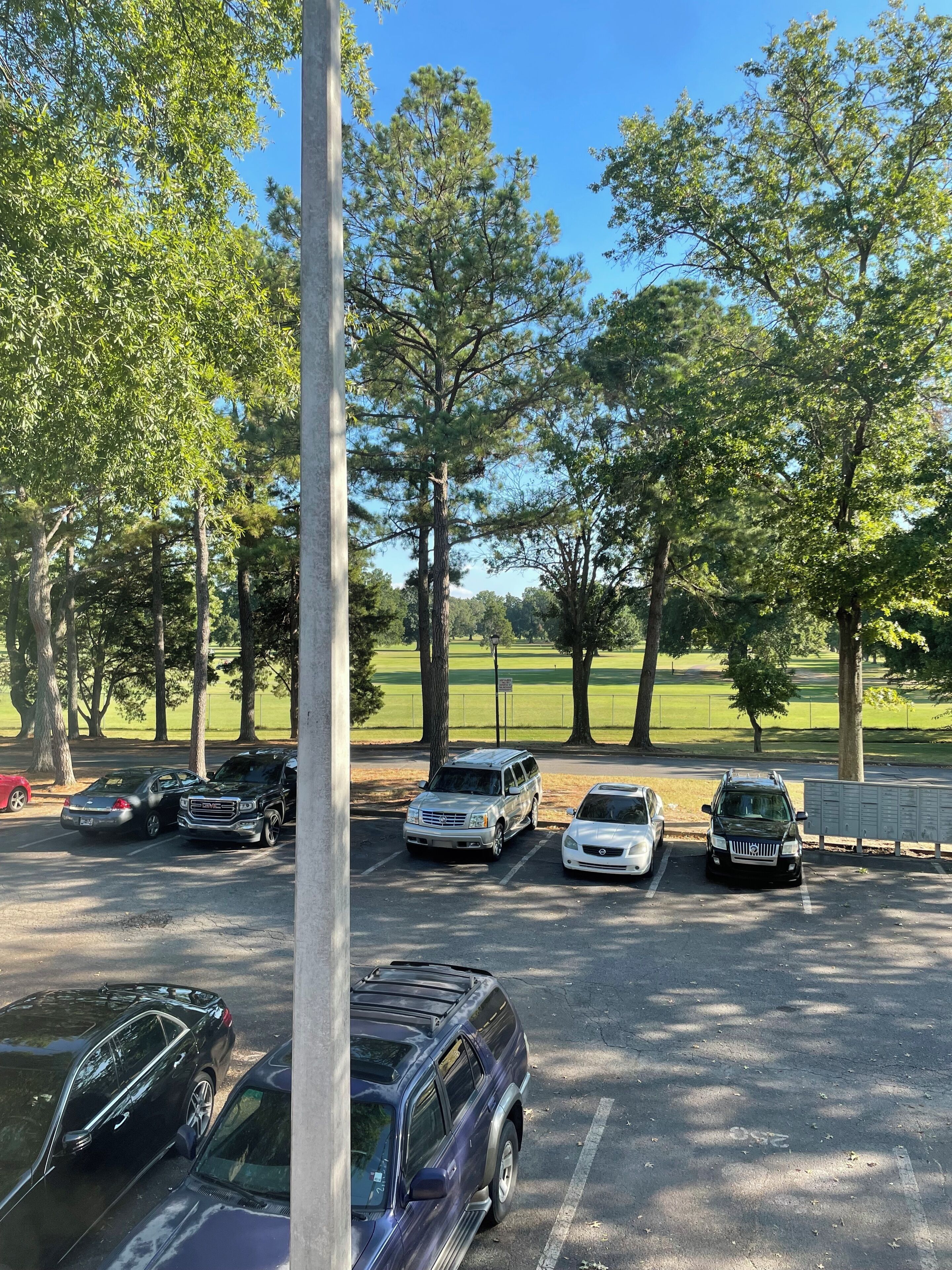 Un parking avec plusieurs voitures, des arbres et, au fond, un champ d’herbe.