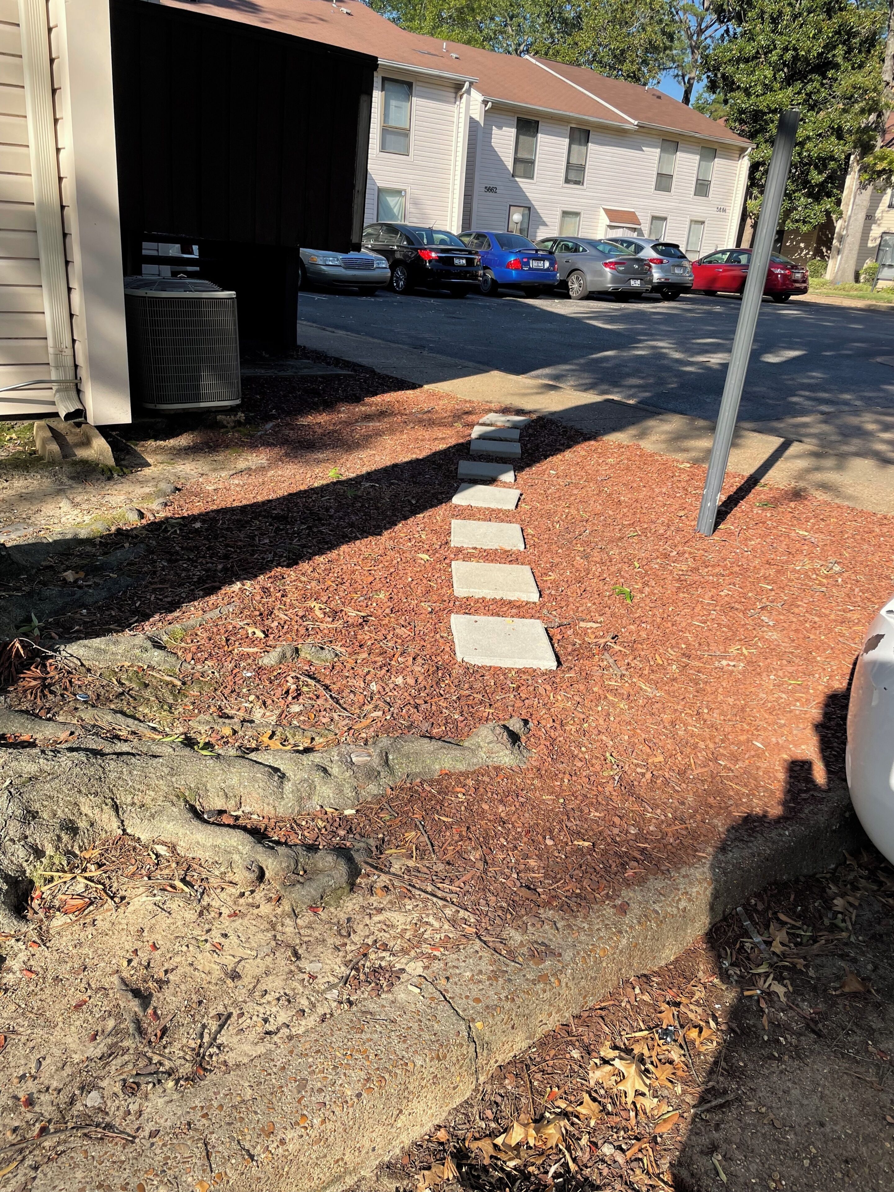 Una strada privata che porta a un garage con una fila di auto parcheggiate.