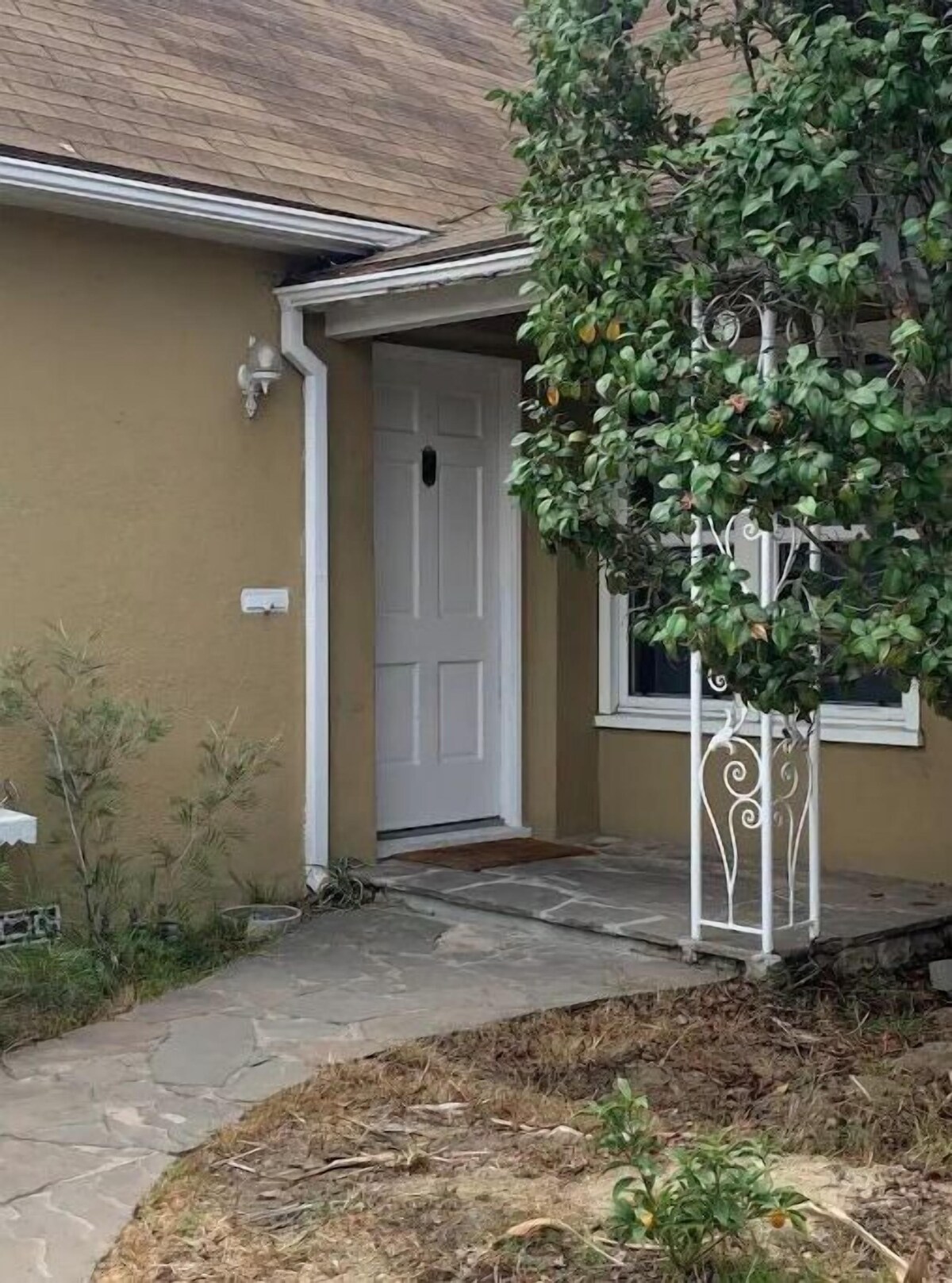 Imagen de perfil del propietario o de la propietaria