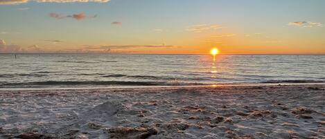 بالقرب من الشاطئ، كراسي للتشمس، مناشف للشاطئ