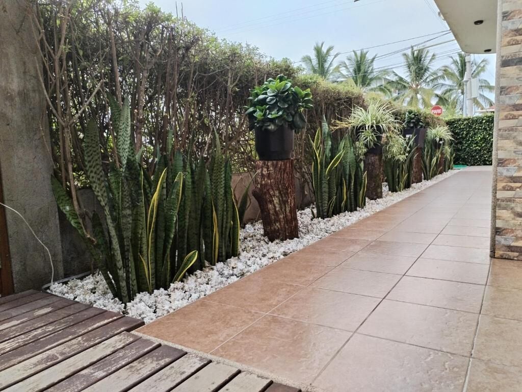 Foto - Starfish Hotel