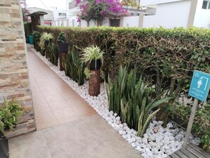 Un sendero bordeado por macetas con diferentes plantas y un seto, que conduce a la entrada de un edificio.