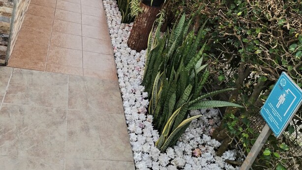 Een pad beplant met potplanten en een bordje dat een rolstoeltoegankelijk gebied aangeeft.