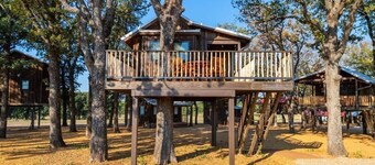 Cedar Waxwing Treehouse(15 MIN to Magnolia/Baylor)