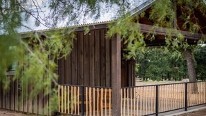 A wooden structure with a metal fence, surrounded by trees. - Painted Bunting Cabin (15 MIN to Magnolia/Baylor) (Elm Mott)