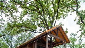 A wooden treehouse with a balcony, built on stilts, surrounded by trees. - The Sparrow Treehouse 15 MIN to Magnolia & Baylor (Elm Mott)