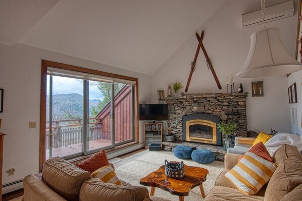 TV, fireplace, DVD player, stereo