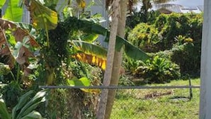 A patio area with a metal table and chairs, surrounded by lush greenery including a banana tree and various potted plants. - Somewhere Over Rainbow Loft - Hilo NEW (Hilo)