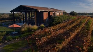 A vineyard with a building that has a covered patio area.