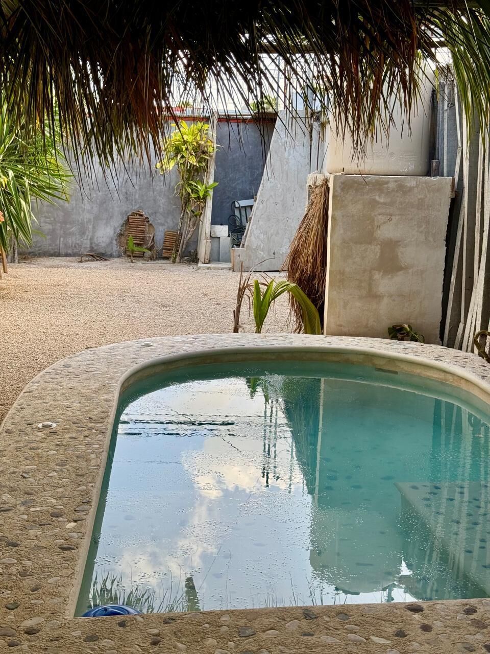 Una piscina con borde de piedra, rodeada de grava y algunas plantas.