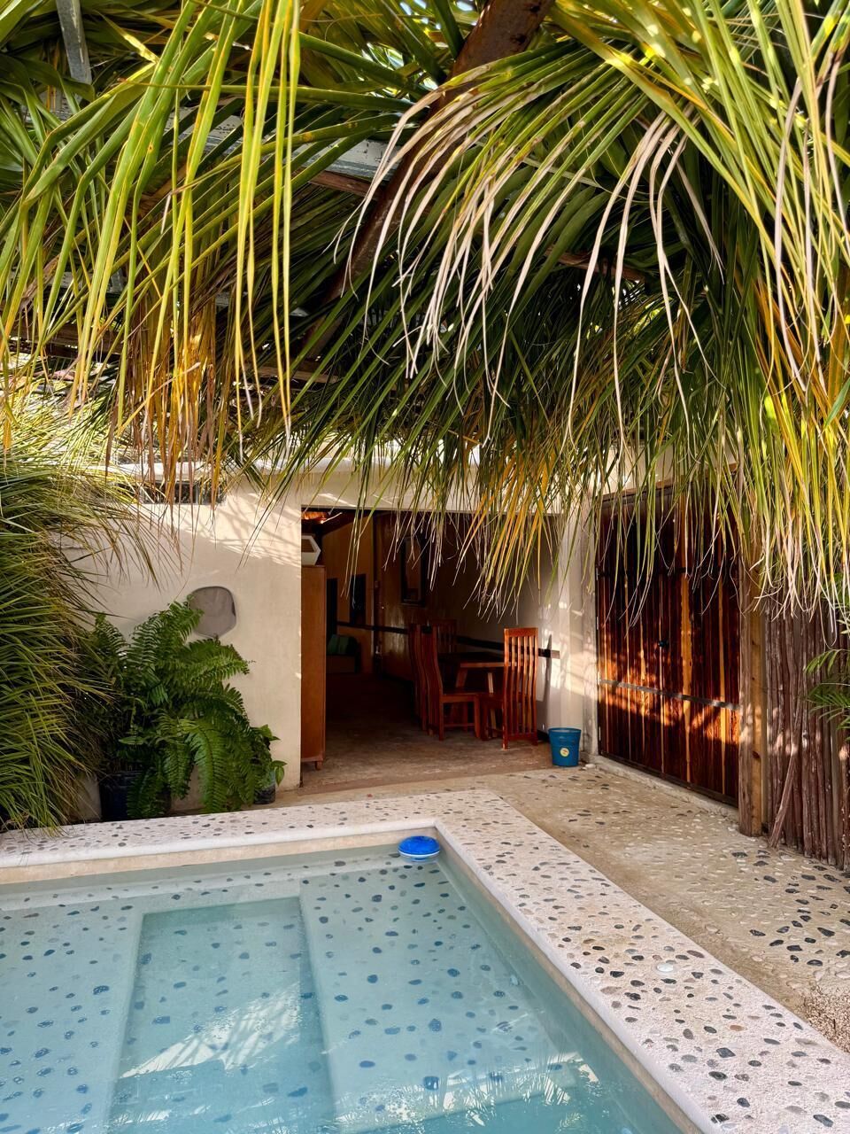 A pool area with a clear pool, surrounded by palm trees and a covered seating area.