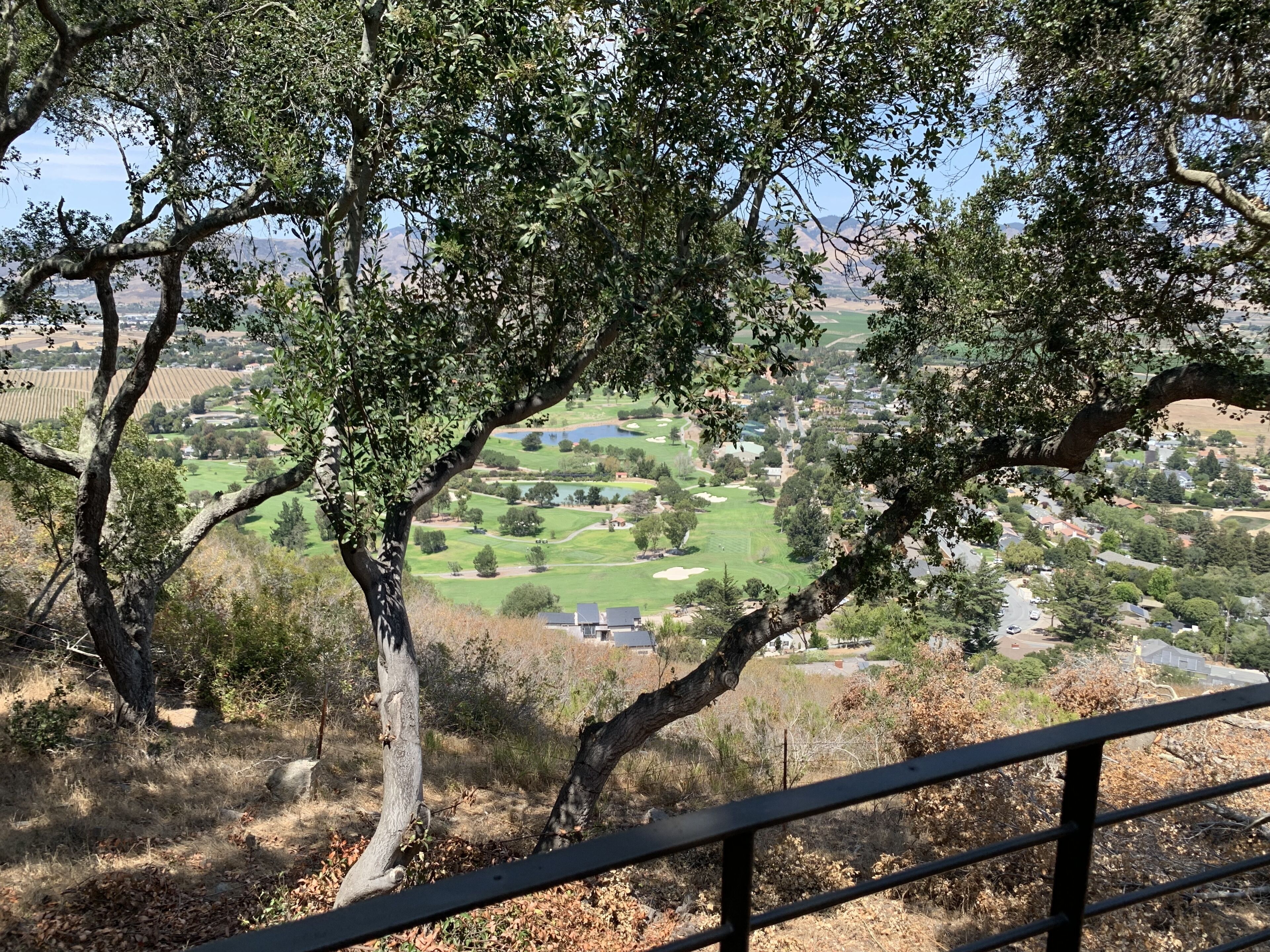 Blick auf einen Golfplatz mit einer Wohngegend im Hintergrund.