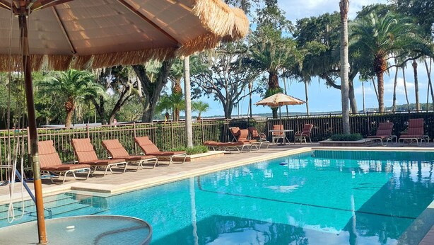 Une piscine entourée de palmiers et d’une clôture, avec des chaises longues et des parasols.